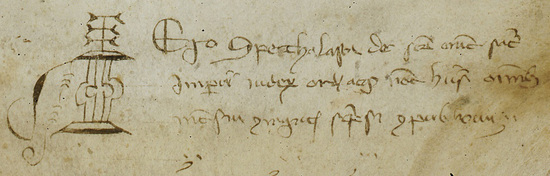 Thumb?file=00005502_1